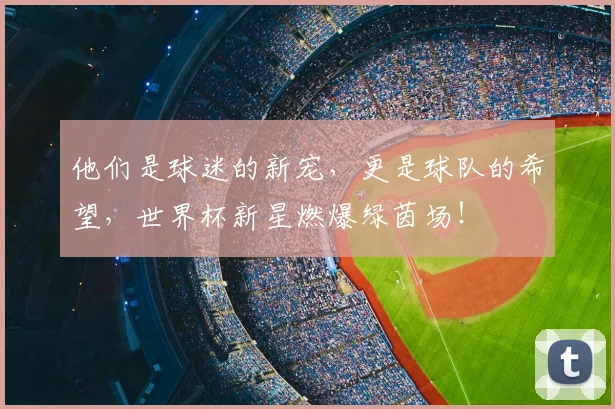 他们是球迷的新宠，更是球队的希望，世界杯新星燃爆绿茵场！