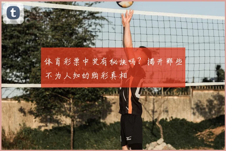 体育彩票中奖有秘诀吗？揭开那些不为人知的购彩真相